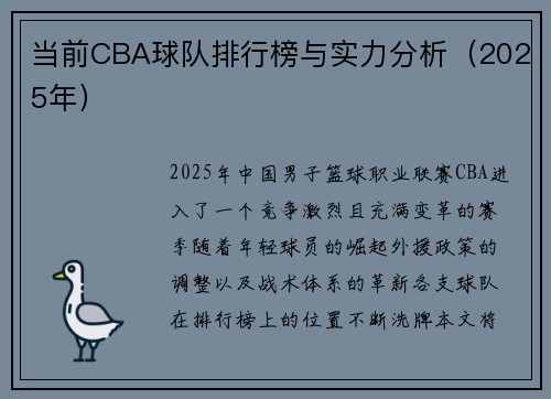 当前CBA球队排行榜与实力分析（2025年）