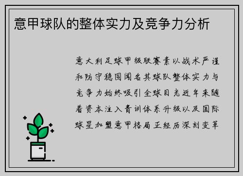意甲球队的整体实力及竞争力分析